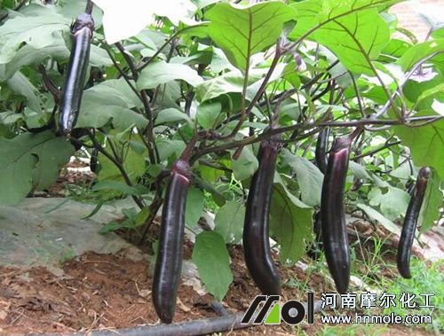 ����ʩ�ʽ���