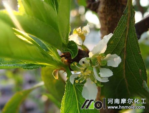 �������L(zh��ng)��ʩ�ʷ���