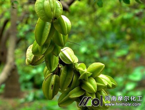 �������L(zh��ng)��ʩ�ʷ���