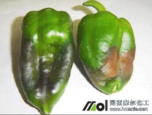 ����ȱ�}�������F(xi��n)�D