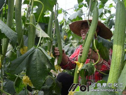 �z��ʩ�ʷ���