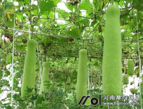 �z��ʩʲô���L�ÿ�