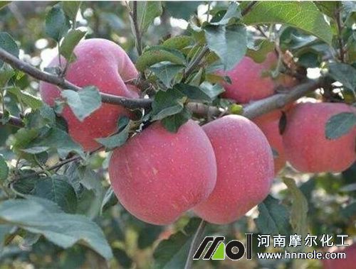 蘋果樹水溶肥用法用量 蘋果樹水溶肥用法用量