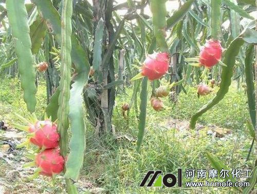 ������������c