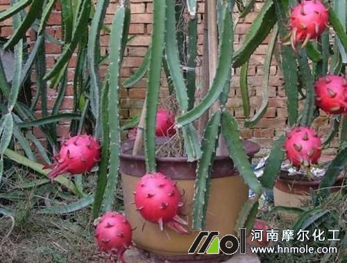 ������ˮ�ܷ��÷�