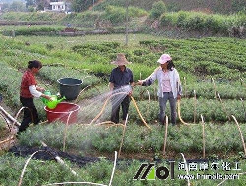 �ߜض���ʩ�ʷ���