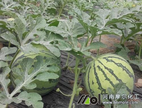 ����ˮ�ܷ��÷�