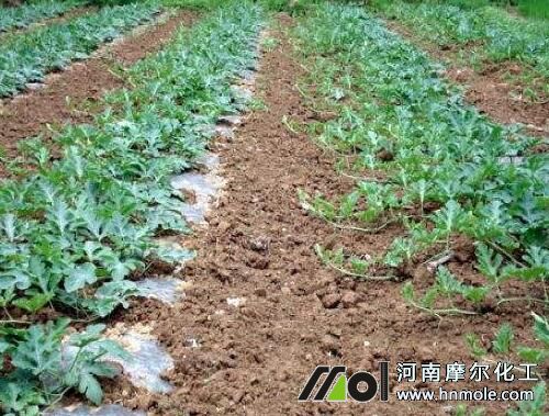 ˮ�ܷ������÷�