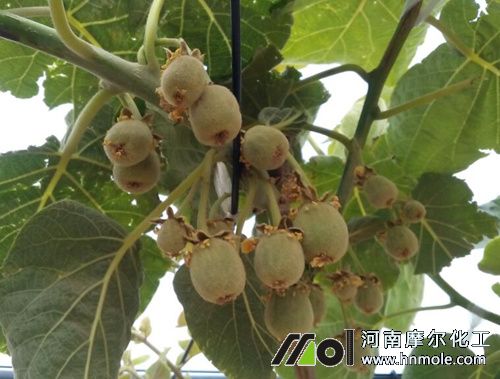 �J���ҽY��ʩˮ�ܷ�