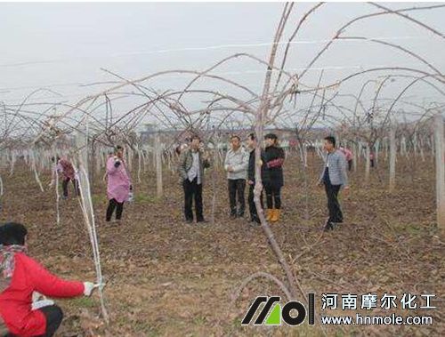 ����ʩԽ����