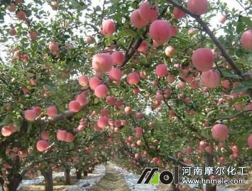 �����ܽo�O������ˮ�ܷ�