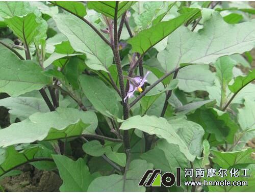 �����_���rˮ�ܷ��÷�