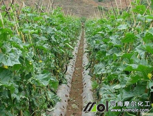 �߲�ˮ�ܷʵ����_�÷�