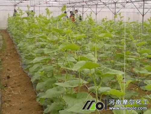 ���ܹ�����ʩ��