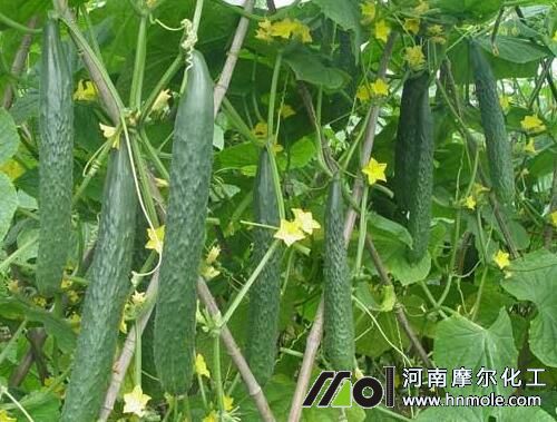 �S��ˮ�ܷ��÷�����