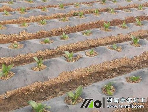 ����һ���طNֲ����