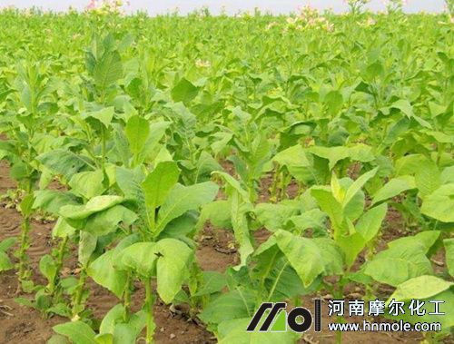 ���ݵ�������c