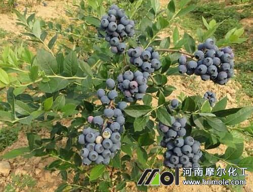 �{ݮ���Ҏ��