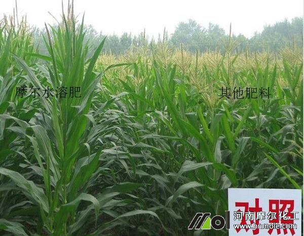 Ħ��ˮ�ܷ��������ϵ�ʹ��Ч��