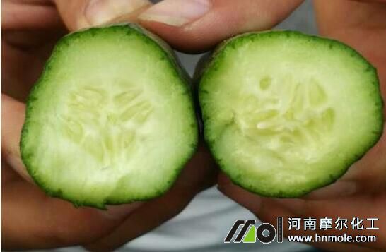 使用摩爾水溶肥效果 使用摩爾水溶肥效果