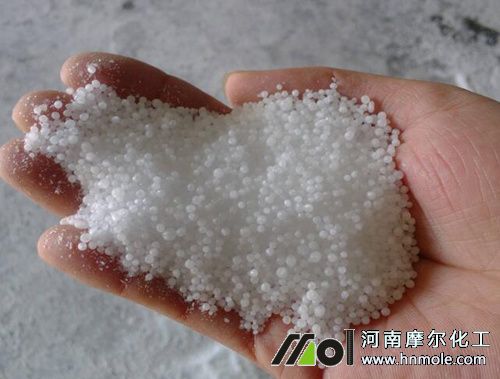 �����w��