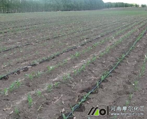 ˮ���Է��ϸ�Ч�÷�