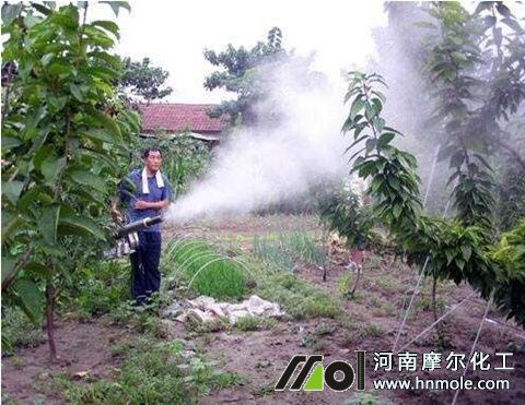 �~����ˮ�ܷ�ע��