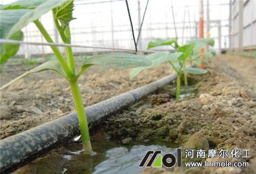 我國現代化農肥行業發展 我國現代化農肥行業發展