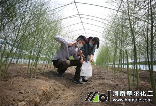 �y���䷽ʩ��