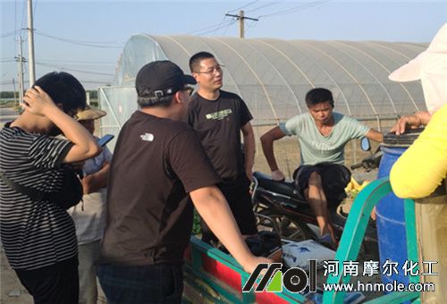 水溶肥廠家調研 水溶肥廠家調研