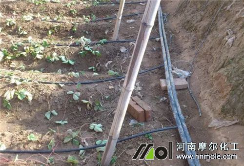 ø���~���׵ι�