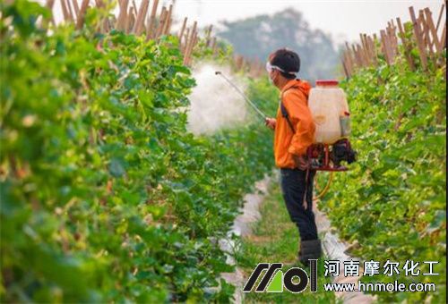 中微量水溶肥施肥方法 中微量水溶肥施肥方法